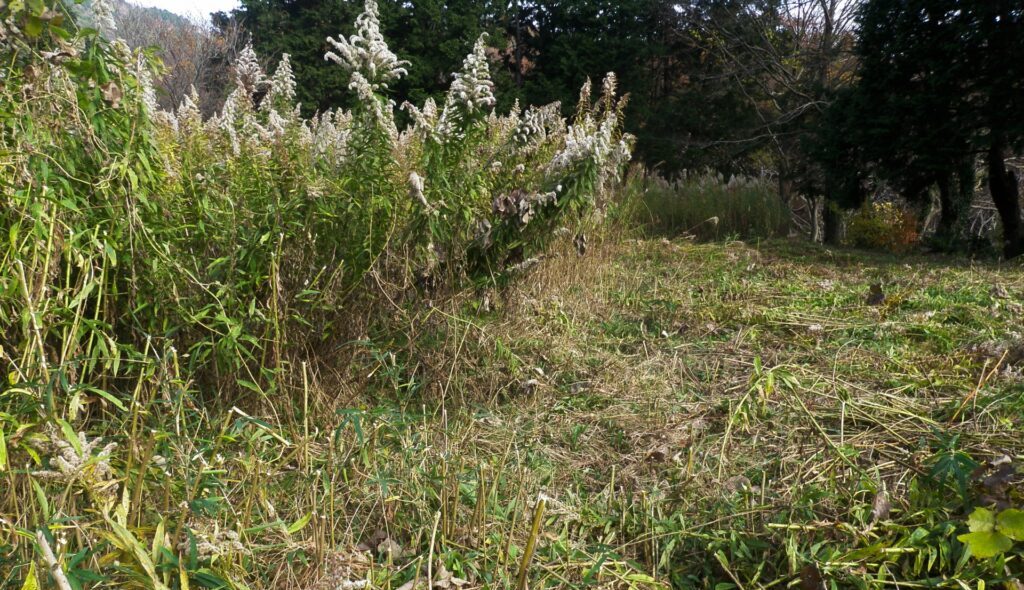 津野町にある売れない雑種地