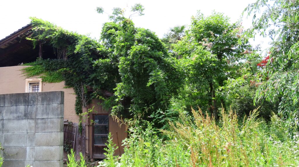 空き家先進県高知