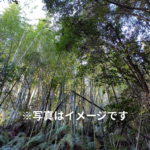 高知県安芸市の山林処分方法