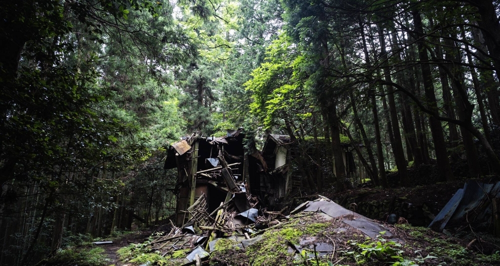高知の山林処分