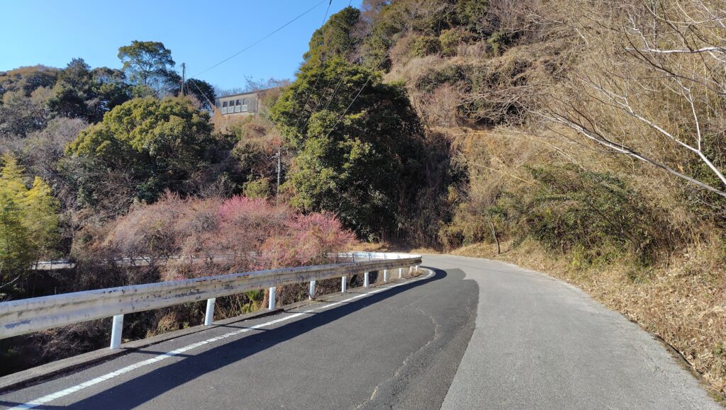高知市の山道