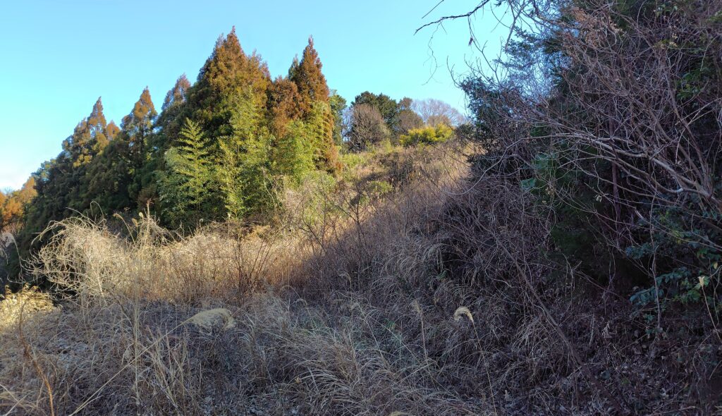 四万十町の売れない農地