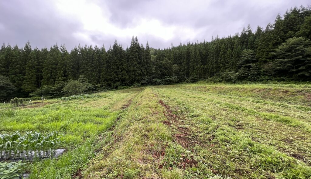 本山町の耕作放棄された農地