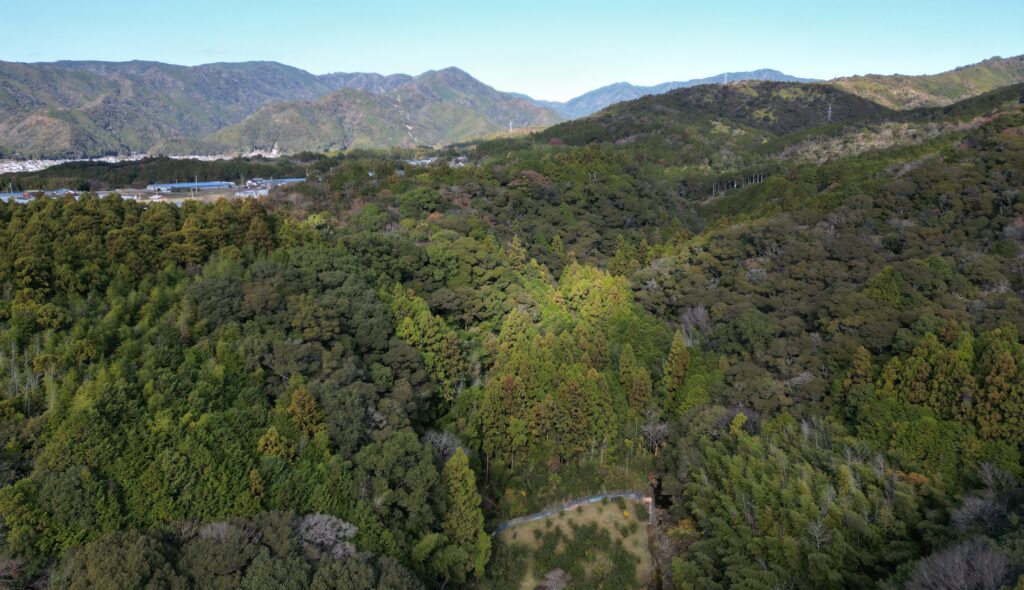 香美市の売れない山林処分