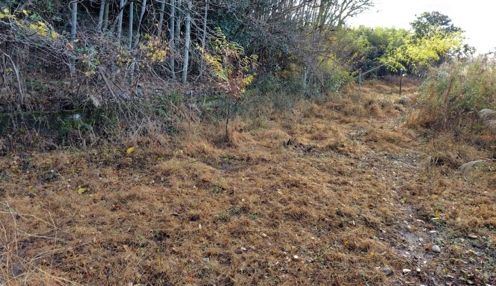 安芸市川北農地