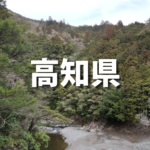 高知県の山林売却処分の画像