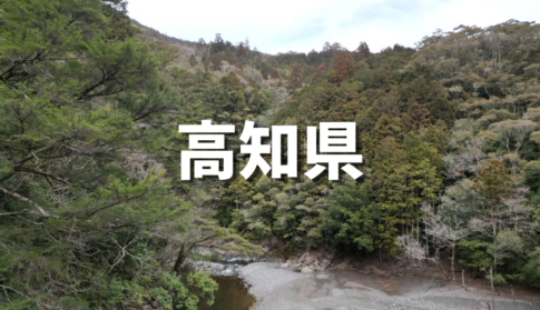 高知県の山林売却処分の画像
