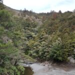 高知県の要らない山林