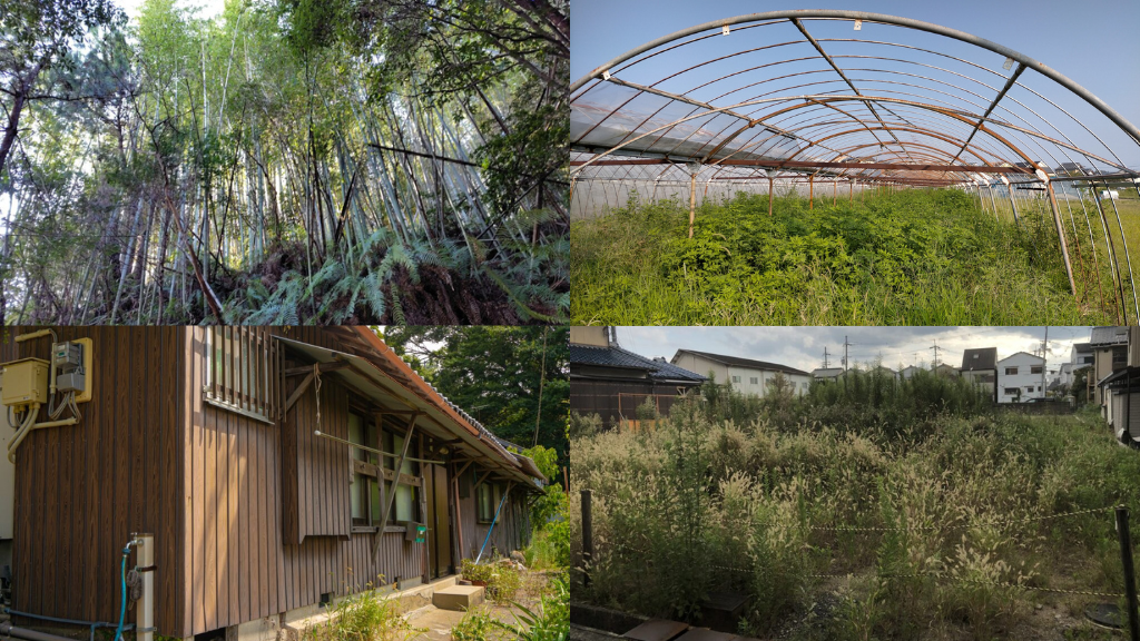 高知県の負動産処分を検討する