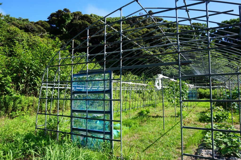 芸西村の使われていないハウス農家