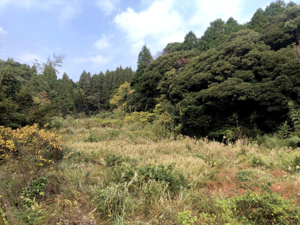 日高村の売れない耕作放棄地