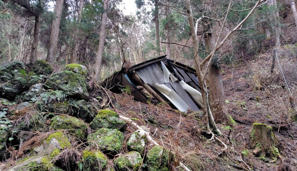 高知県で処分したい山林