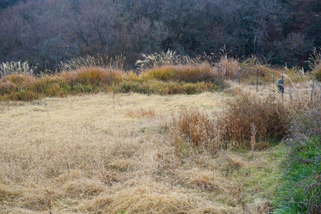 高知県の農地処分専門