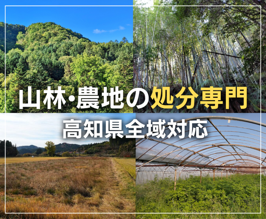 高知県の山林・農地処分専門