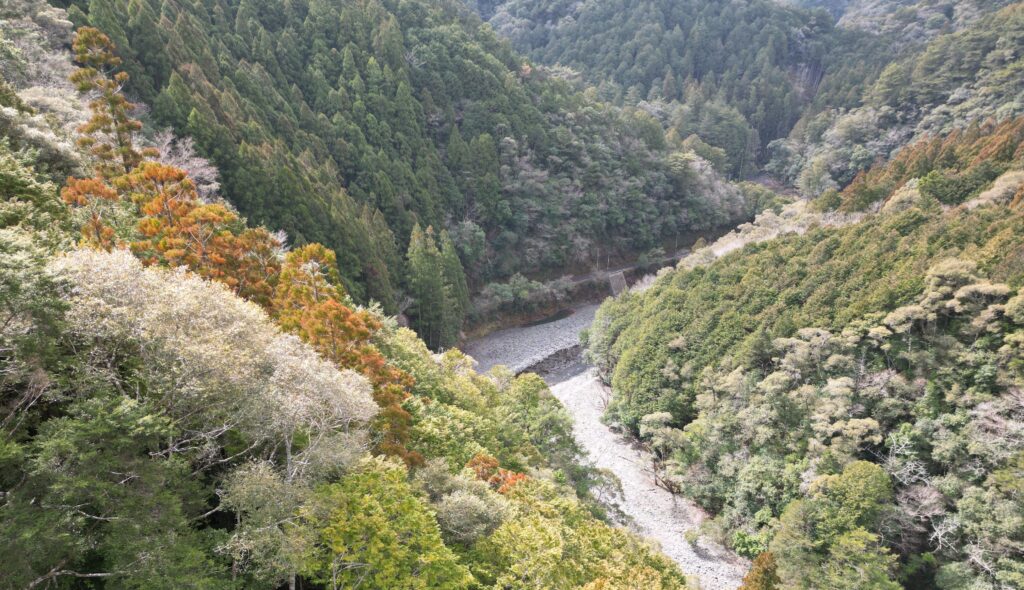 高知県の売れない山林