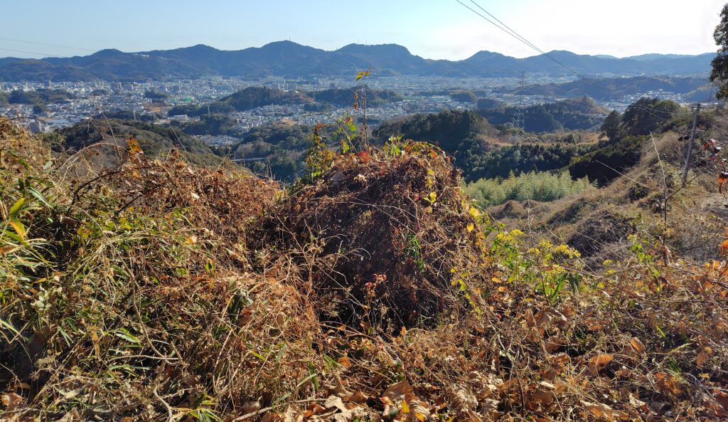 高知市の西部地区