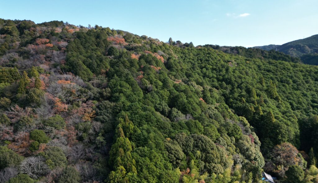 香南市の売れない山林処分