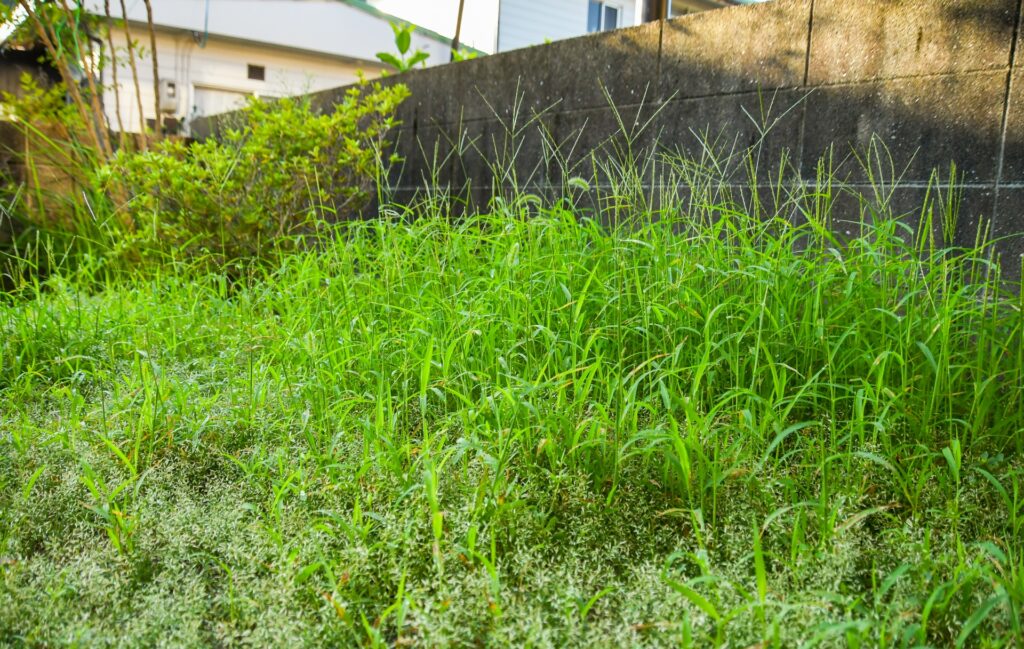 本山町の売れない空き地