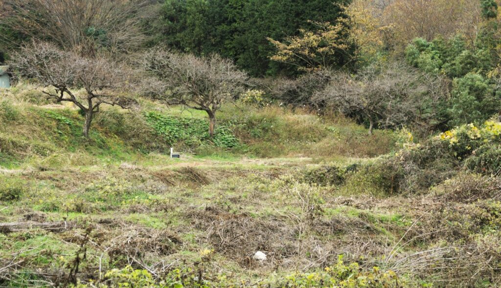 仁淀川町の耕作放棄地