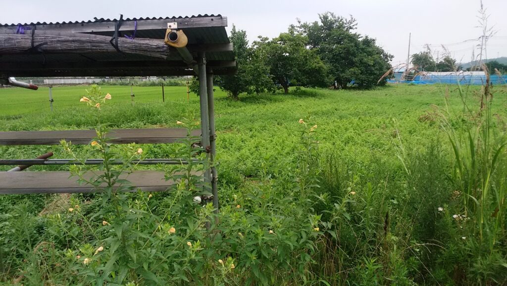 大豊町の売れない空き地