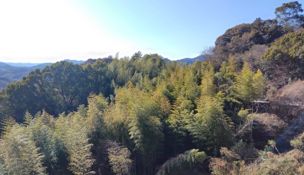 大月町の売れない山林