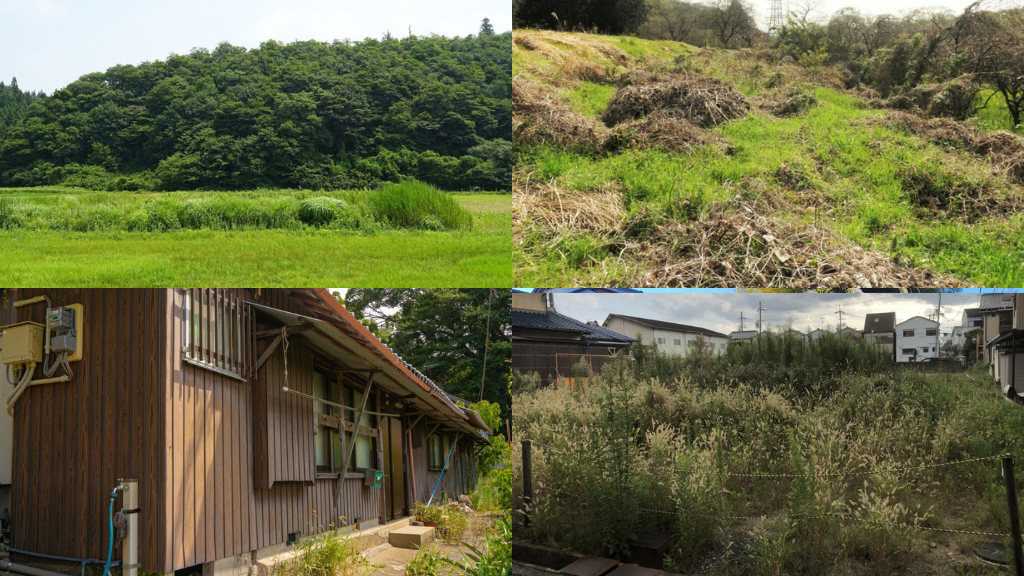 プロフィール背景画像