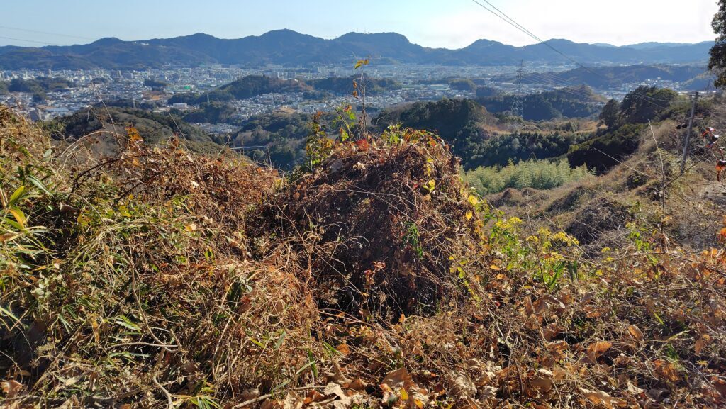 高知県の山林・農地整理支援