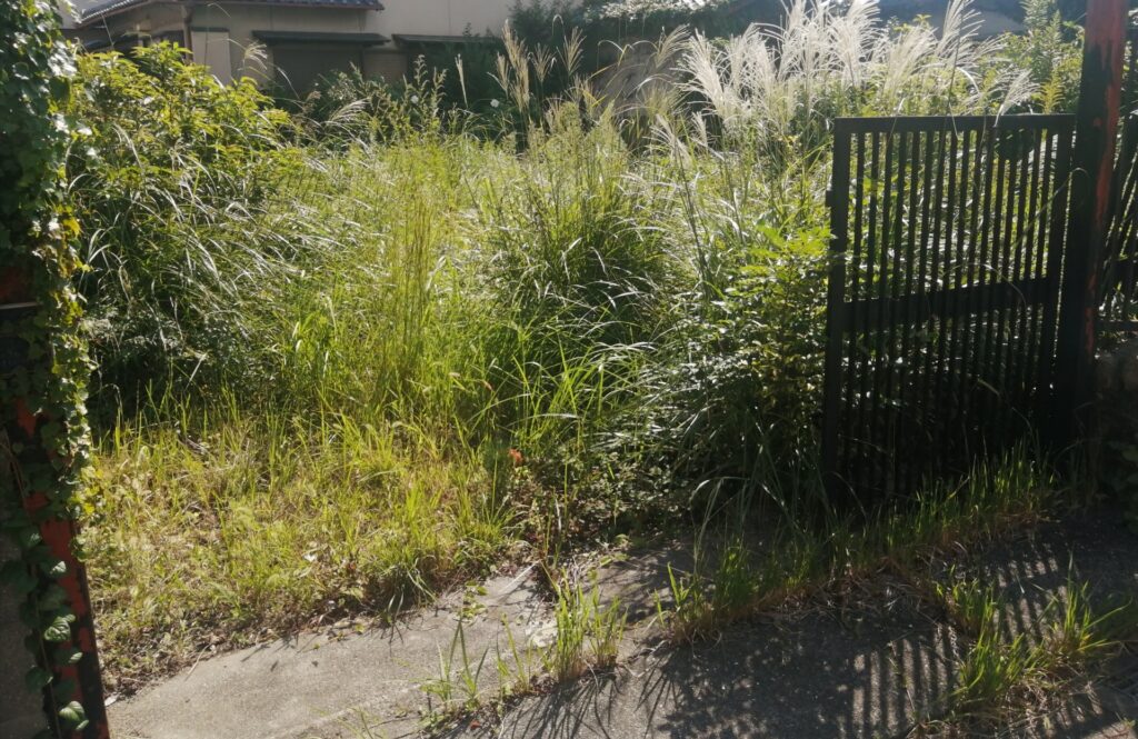 四万十町の使われていない空地