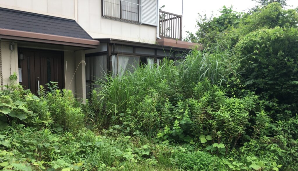 宿毛市中心部の草ぼうぼうの空き家