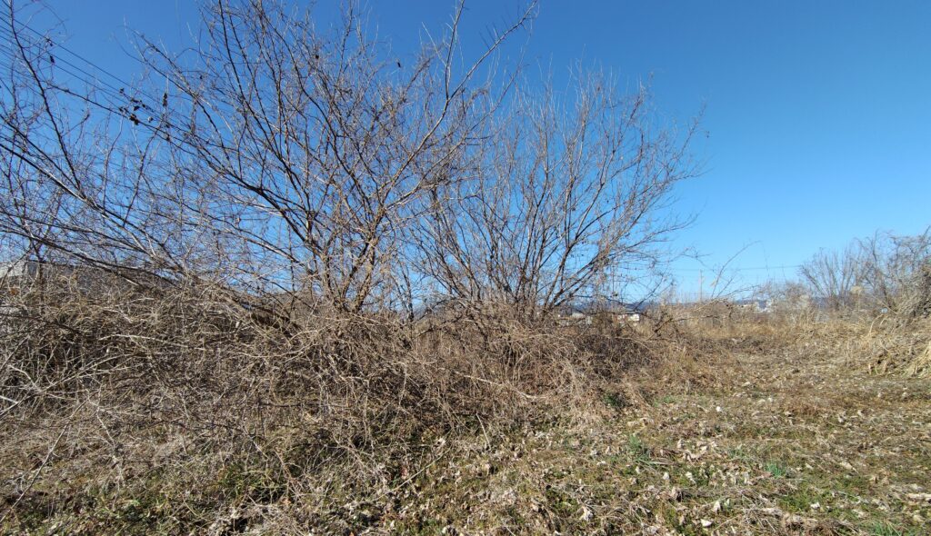 土佐町の売れない農地