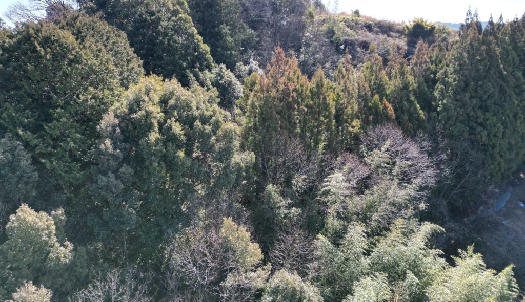 土佐町の売れない山林