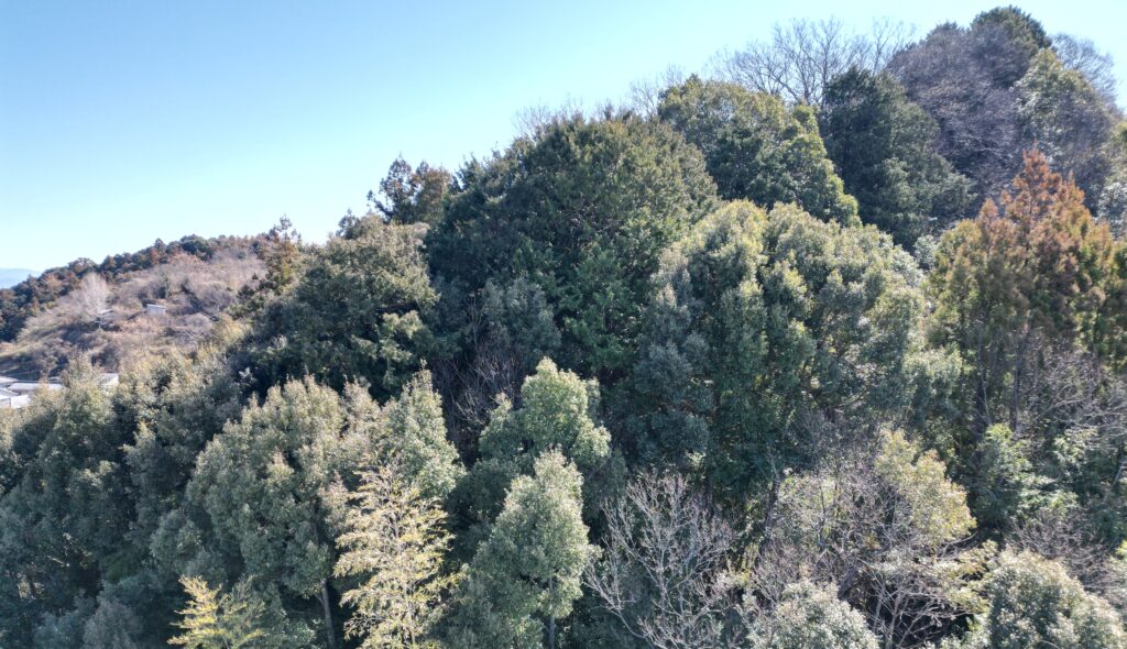 東洋町の売れない山林