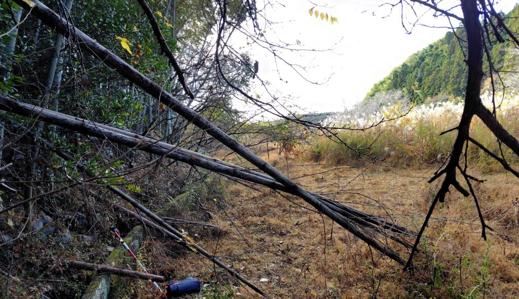 安田町の売れない農地処分