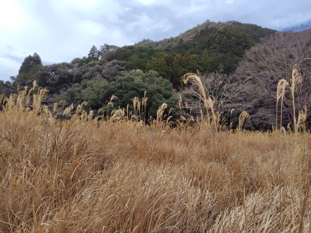 高知県の山林・農地の固定資産税