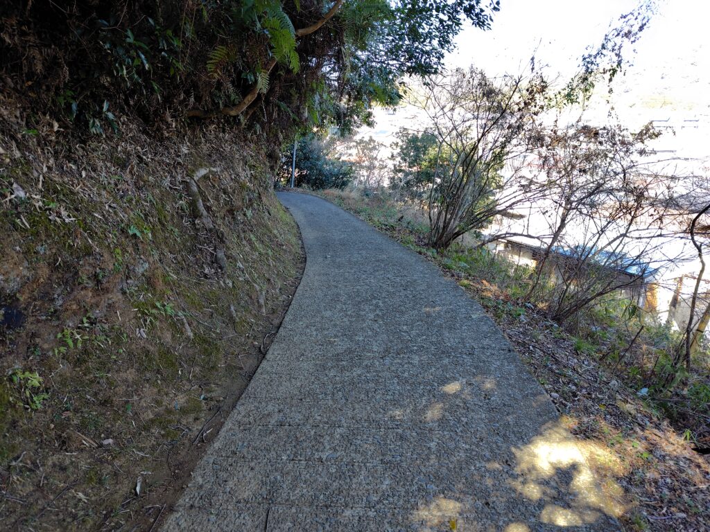 行政指導を受けた枝が道に越境している高知市の山林