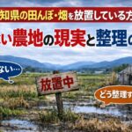 高知県の放置している田んぼ・畑を処分する記事のアイキャッチ画像