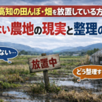 高知の放置されている田んぼと畑の処分方法