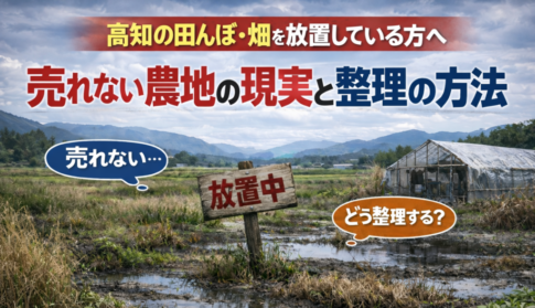 高知の放置されている田んぼと畑の処分方法