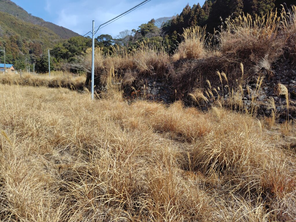 高知で相続した売れない原野