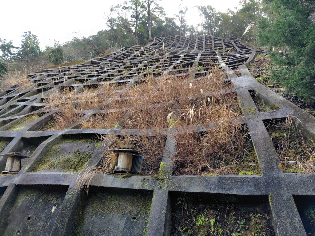 高知の土砂災害特別警戒区域の山林