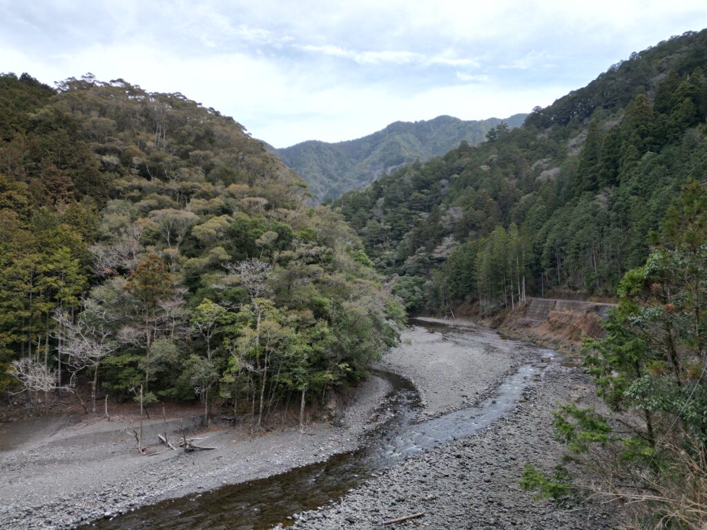 高知県の山林を国庫帰属