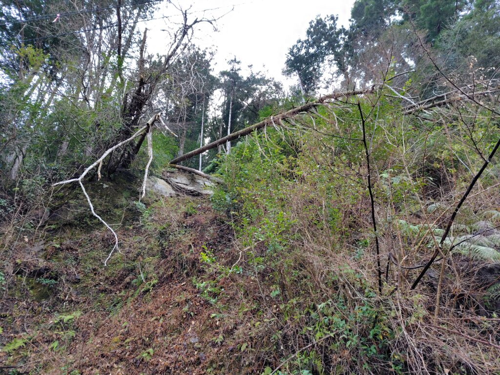 高知県の山林と相続土地国庫帰属制度に申請