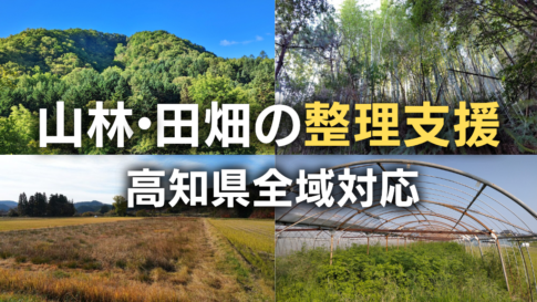 高知県の売れない山林・田畑（農地）の処分と整理支援｜場所不明・境界不明にも対応