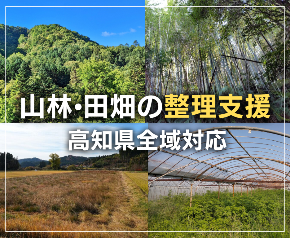 高知県の山林・田畑の祖分専門
