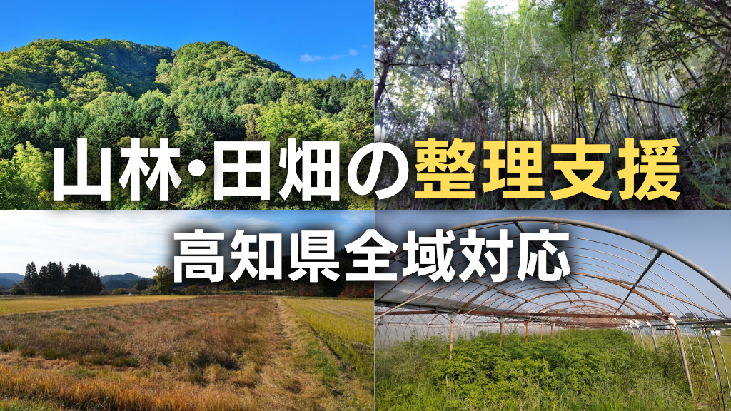 高知県の山林・田畑の祖分専門