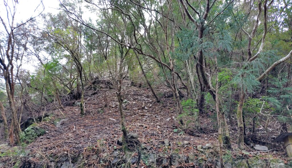 高知県の山林処分