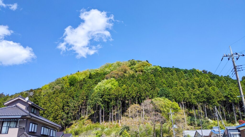 住宅街の裏山の倒木危険性