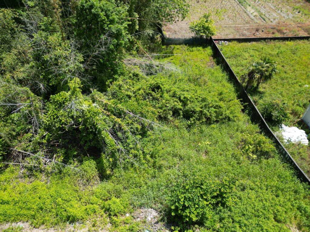 高知市春野町の耕作放棄地