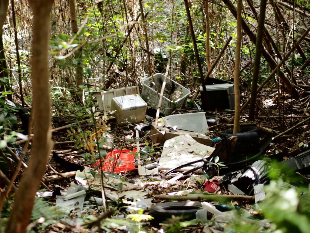 相続した山林に不法投棄された家電製品やタイヤなどの廃棄物