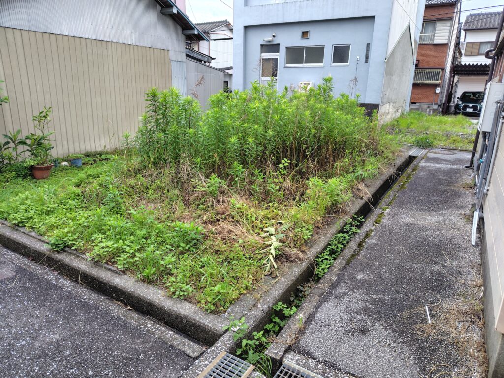 高知市の草ぼうぼうの空き地